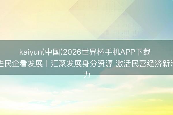 kaiyun(中国)2026世界杯手机APP下载 走进民企看发展丨汇聚发展身分资源 激活民营经济新活力