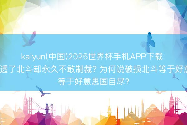 kaiyun(中国)2026世界杯手机APP下载 好意思国恨透了北斗却永久不敢制裁? 为何说破损北斗等于好意思国自尽?