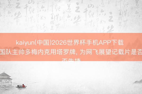 kaiyun(中国)2026世界杯手机APP下载 前法国队主帅多梅内克用塔罗牌, 为网飞展望记载片是否告捷