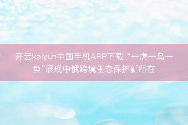 开云kaiyun中国手机APP下载 “一虎一鸟一鱼”展现中俄跨境生态保护新所在