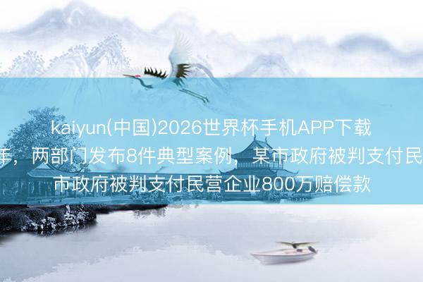 kaiyun(中国)2026世界杯手机APP下载 民营经济促进法周年，两部门发布8件典型案例，某市政府被判支付民营企业800万赔偿款