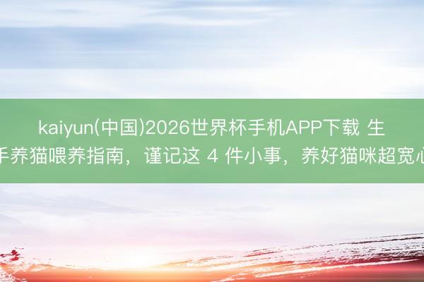 kaiyun(中国)2026世界杯手机APP下载 生手养猫喂养指南，谨记这 4 件小事，养好猫咪超宽心