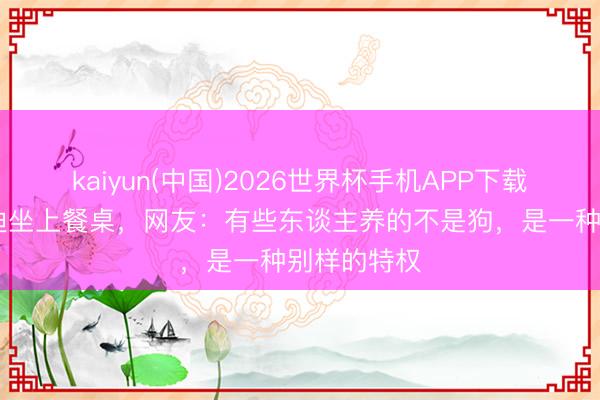 kaiyun(中国)2026世界杯手机APP下载 西安一泰迪坐上餐桌，网友：有些东谈主养的不是狗，是一种别样的特权