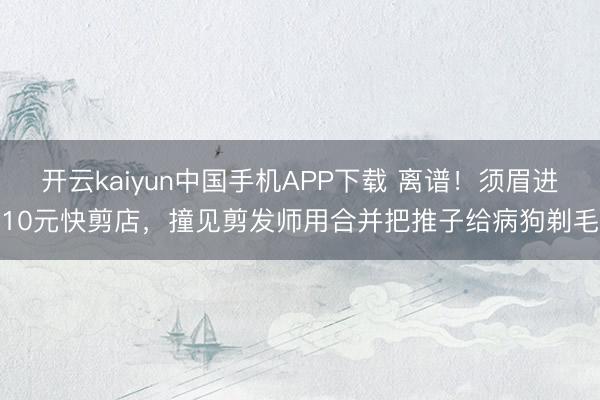 开云kaiyun中国手机APP下载 离谱！须眉进10元快剪店，撞见剪发师用合并把推子给病狗剃毛