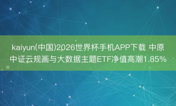 kaiyun(中国)2026世界杯手机APP下载 中原中证云规画与大数据主题ETF净值高潮1.85%