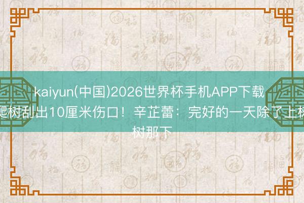 kaiyun(中国)2026世界杯手机APP下载 影后爬树刮出10厘米伤口！辛芷蕾：完好的一天除了上树那下