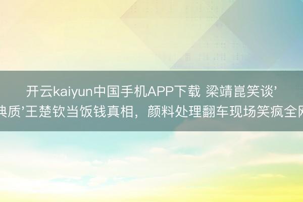 开云kaiyun中国手机APP下载 梁靖崑笑谈'典质'王楚钦当饭钱真相，颜料处理翻车现场笑疯全网