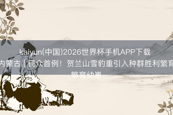 kaiyun(中国)2026世界杯手机APP下载 行见内蒙古 | 民众首例！贺兰山雪豹重引入种群胜利繁育幼崽