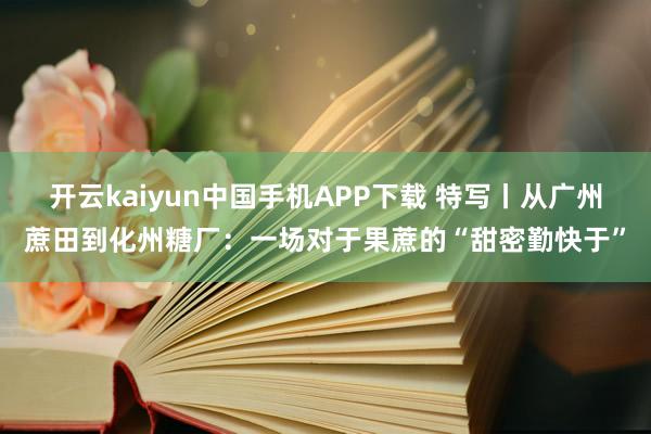 开云kaiyun中国手机APP下载 特写丨从广州蔗田到化州糖厂：一场对于果蔗的“甜密勤快于”