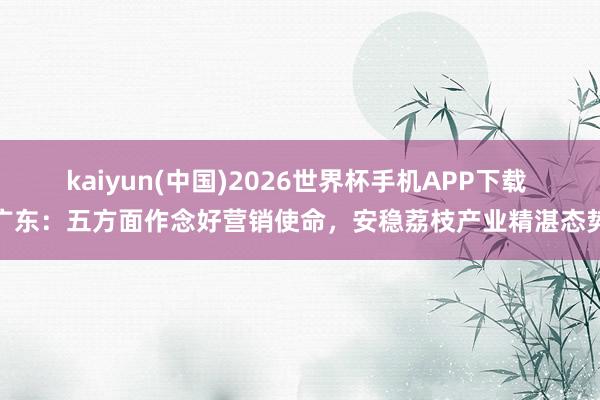 kaiyun(中国)2026世界杯手机APP下载 广东：五方面作念好营销使命，安稳荔枝产业精湛态势