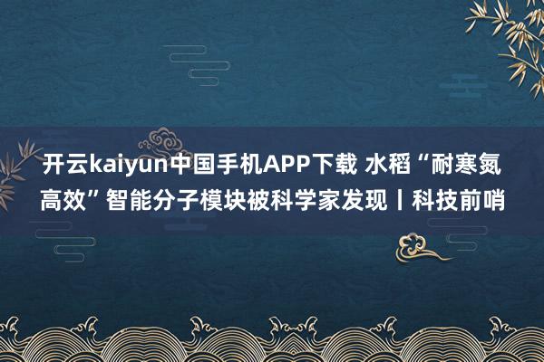 开云kaiyun中国手机APP下载 水稻“耐寒氮高效”智能分子模块被科学家发现丨科技前哨