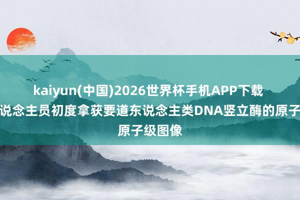 kaiyun(中国)2026世界杯手机APP下载 接头东说念主员初度拿获要道东说念主类DNA竖立酶的原子级图像