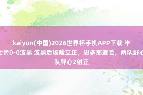 kaiyun(中国)2026世界杯手机APP下载 半场-瑞士暂0-0波黑 波黑后场险立正,恩多耶造险,两队野心2射正